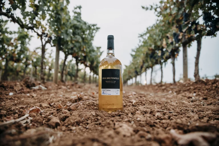 Fatih_Kocak_Humanus_26.08